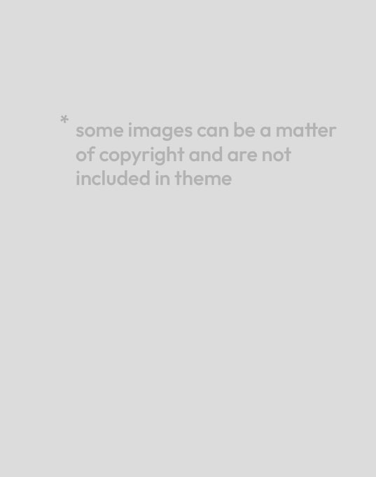 athlete2 theme demo