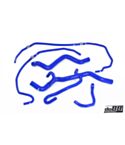 Volvo C30/C70/S40/V50 Turbo Automatic 04-13 Coolant hoses Blue